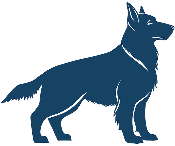 Large Dog